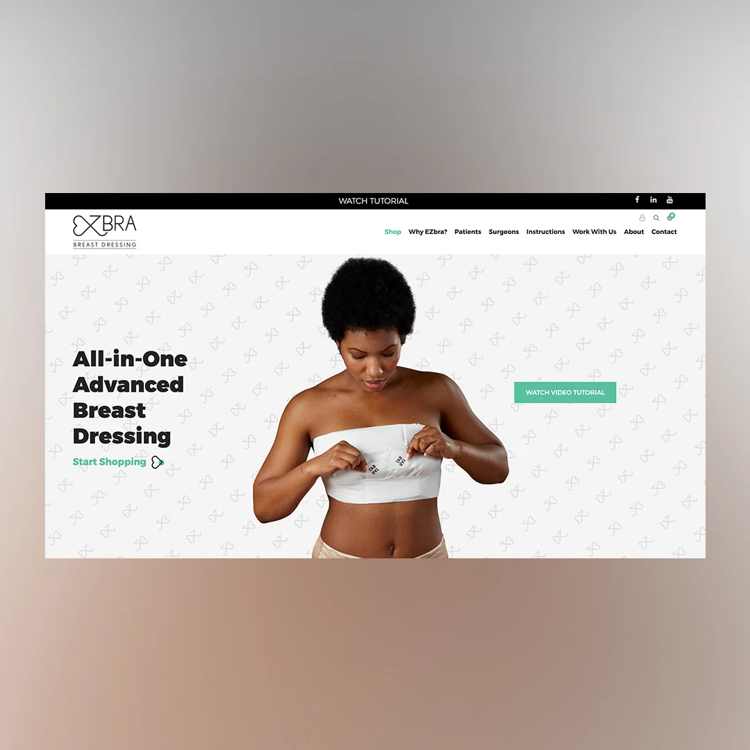 EZbra website port